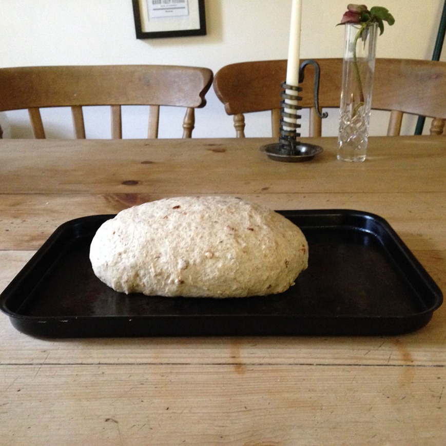 dough tray